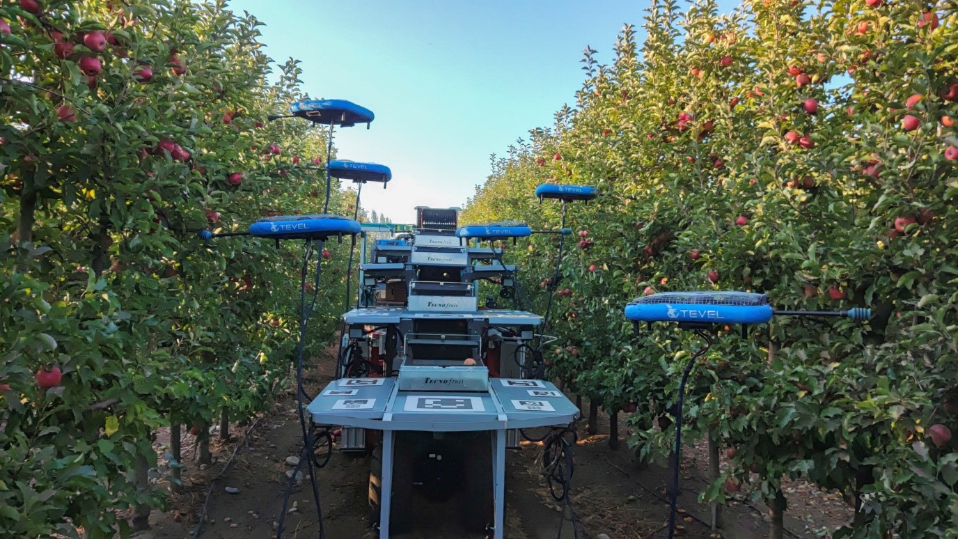 Inteligencia artificial y robótica: cosecha de manzanas en Chile